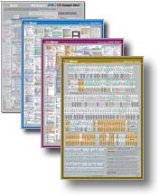 Set of 4 HTML / CSS Charts