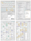 HTML Card and HTML Chart